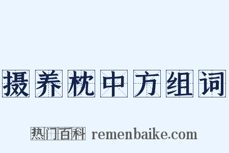 摄养枕中方组词是什么意思的图片